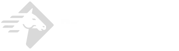 Cropped Paladin Logo 1 Copy